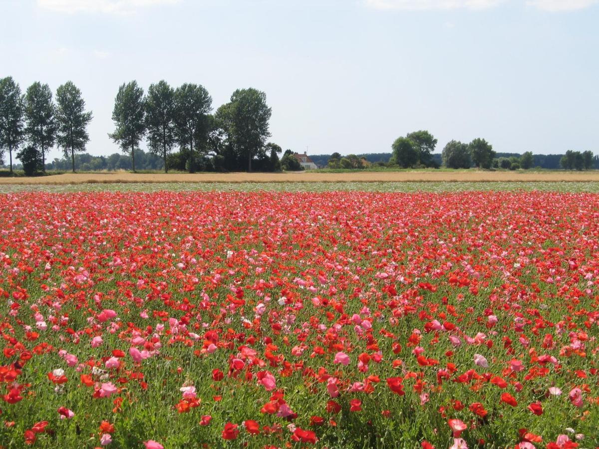 De Kersentuin Nieuwvliet