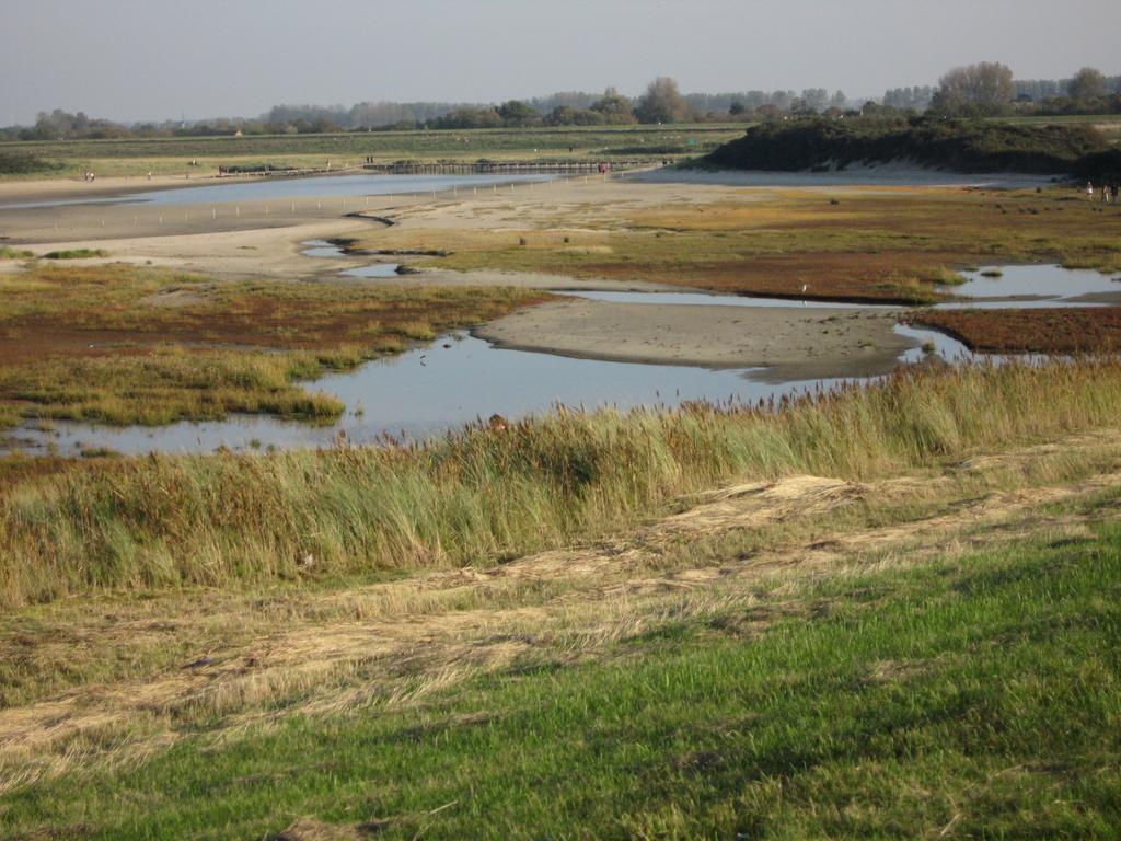 De Kersentuin 3* Nieuwvliet